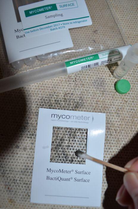 Mycometer Skimmelsvamps test + Analyse (Selv test)