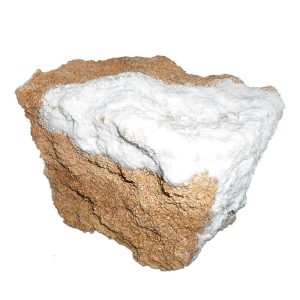 WFP Deep Primer SB